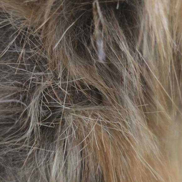 Faux Fur coat - Picture 17 of 17